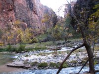 35-The Narrows - Zion